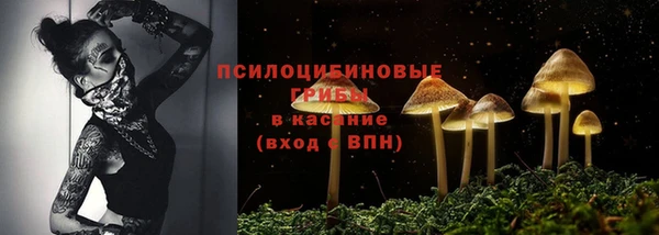 ГАЛЛЮЦИНОГЕННЫЕ ГРИБЫ Армянск