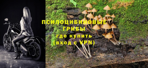 трава Алзамай