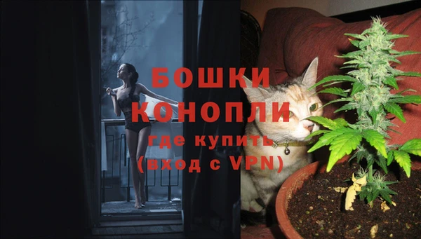 apvp Аркадак