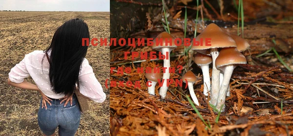 стаф Алексеевка