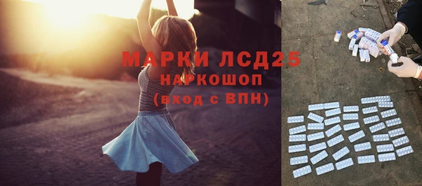 ГАЛЛЮЦИНОГЕННЫЕ ГРИБЫ Армянск