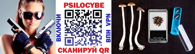 Псилоцибиновые грибы GOLDEN TEACHER  наркота  OMG tor  Трёхгорный 